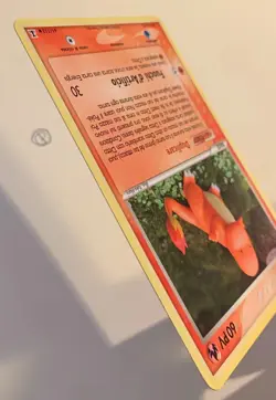 Pokemon Ditto Charmander 61/113 Ex Specie Delta Ita - Image 4
