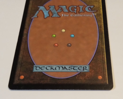 MTG Steely Resolve Onslaught Foil 2002 NM - Image 5