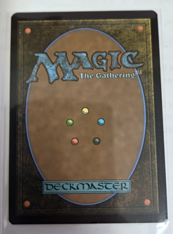 MTG, Mystic Remora-Dominaria Remastered Regular NM - Image 2