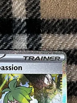 Wally's Compassion 186/132 Special Illustration Rare Pokemon Mega Evolution NM - Image 3