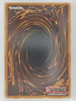Yu-Gi-Oh! Red-Eyes Wyvern - SR02-EN010 - Common - 1st Edition - MP - Image 2