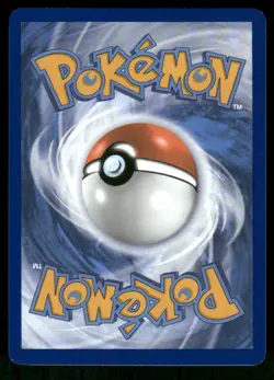 Pokemon Cards Phanpy 205/191 Surging Sparks Illustration Rare NM - Image 2