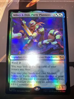 Mikey & Don, Party Planners Teenage Mutant Ninja Turtles Foil - Image 1