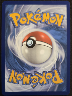 Miraidon 013 Black Star Promo Pokemon Scarlet & Violet NM - Image 2