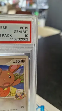 PSA 10 Mint Dawn Buneary M 019/022 Movie Commemoration 2009 Japanese Graded Card - Image 3