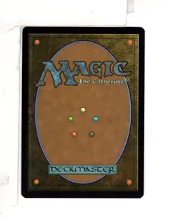 MTG SkeenAB Multiversal Passage BORDERLESS FOIL from SPM. NM. - Image 2