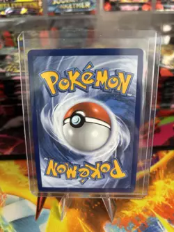 Pokemon TCG Ascended Heroes Mightyena 243/217 IR English NM Pack Fresh - Image 2