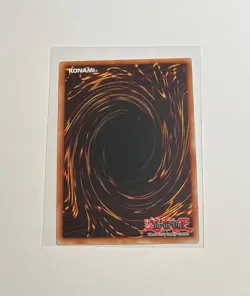 Yu-Gi-Oh! Domain Of The True Monarchs #MP25-EN026 Starlight Rare 1st (NM) +Bonus - Image 4