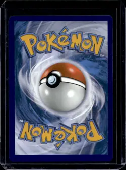 2016-19 Pokemon SM Black Star Promos Pikachu & Zekrom Tag Team #SM248 - Image 2