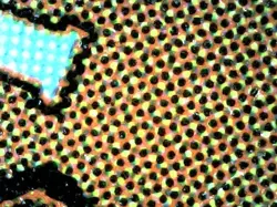 MTG Magic the Gathering Smothering Tithe (22/296) Ravnica Allegiance LP/NM #2 - Image 3