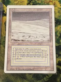 TUNDRA - REVISED - MTG MAGIC THE GATHERING LIGHT PLAY - Image 2