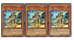 Yugioh- 3X Shield Warrior - Rare - Unlimited - TDGS-EN005 - Light Play - Image 1
