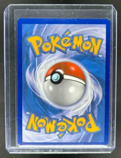 2016-19 Pokemon SM Black Star Promos Umbreon & Darkrai Tag Team #SM241 - Image 2