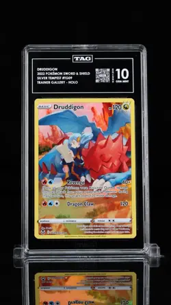 Tag 10 - Druddigon #tg09 - Pokemon Silver Tempest! - Image 1