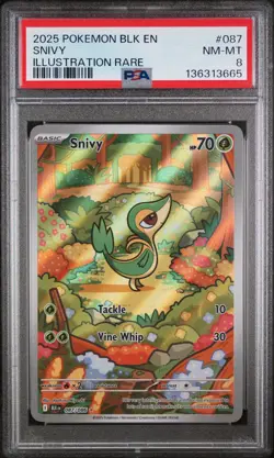 2025 POKEMON BLK EN-BLACK BOLT ILLUSTRATION RARE #087 SNIVY PSA 8 - Image 1