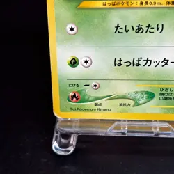 Chikorita No. 152 Neo Intro Pack Promo Half Deck Pokemon Card Japanese - Image 5