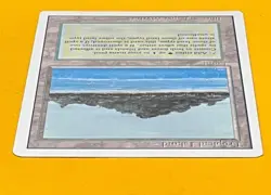 MTG TROPICAL ISLAND Revised (OldManMTG 013-232) - Image 3