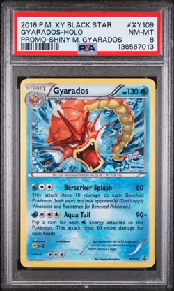 2016 POKEMON XY BLACK STAR PROMO SHINY MEGA GYARADOS #XY109 GYARADOS-HOLO PSA 8 - Image 1