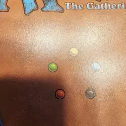 Alania, Divergent Storm (0344) *RAISED FOIL BORDERLESS* Bloomburrow MINT/NM MTG - Image 3