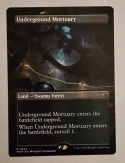 Underground Mortuary (Borderless) - Murders at Karlov Manor - MTG #333 Rare - Image 1
