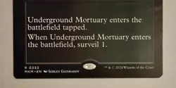 Underground Mortuary (Borderless) - Murders at Karlov Manor - MTG #333 Rare - Image 3