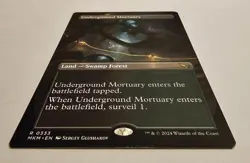 Underground Mortuary (Borderless) - Murders at Karlov Manor - MTG #333 Rare - Image 4
