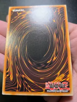 Bramble Rose Dragon DOOD-EN039 Secret Rare 1st Edition Near Mint Yu-Gi-Oh! - Image 3