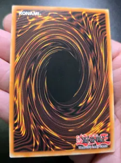 Bramble Rose Dragon DOOD-EN039 Secret Rare 1st Edition Near Mint Yu-Gi-Oh! - Image 5