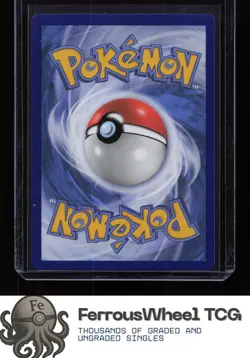 Squirtle SWSH233 - SWSH: Sword & Shield Promo Cards - (NM) - Image 2
