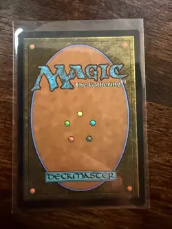 MTG Overgrown Tomb R Lorwyn Eclipsed 266 Regular NM - Image 2