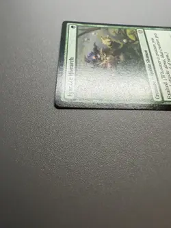 Ignoble Hierarch Commander Lorwyn Eclipsed MTG ECC R 0052 NM Regular - Image 4