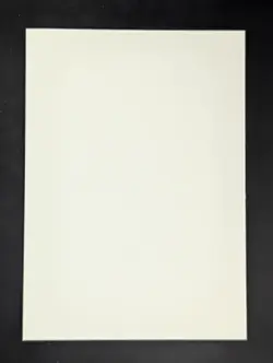 Pokemon English Blank Misprint NFC Cards Front Blank Back Miscut #1 - Image 2