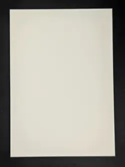 Pokemon English Blank Misprint NFC Cards Front Blank Back Miscut #2 - Image 2