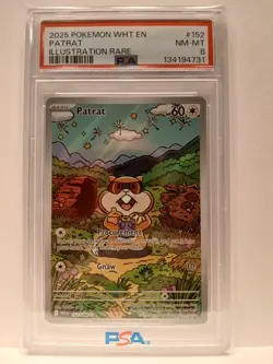 * PSA * BECKETT * CGC * GRADED CARD LOT * X 19 * POKEMON * - Image 3