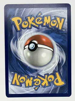 Litten NM IR 167/162 SV05: Temporal Forces Pokemon TCG Holo - Image 2