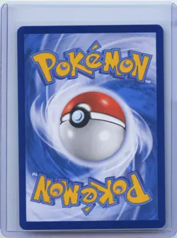 Pokemon 25th Celebrations Chinese Dark Gyarados S8a PF-005 Promo Card Holo NM - Image 2
