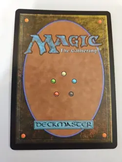 MTG - FINAL FANTASY - Plains (478) (Chocobo Track Foil) - Image 2