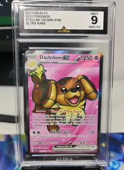 AURA 9 Dachsbun EX 160/142 Stellar Crown Full Art Secret Rare Pokemon Card TCG - Image 1