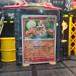 Growlithe Scarlet & Violet Reverse Holo Pokemon TCG 030/198 SV01 Common - Image 3