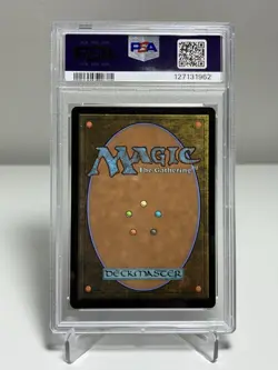 2023 Magic The Gathering LOTR The Shire Showcase Borderless Foil PSA 8 - Image 2