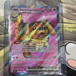 2024 Pokemon Stellar Crown Dachsbun Ex 160/142 Ultra Rare Full Art Holo - Image 2