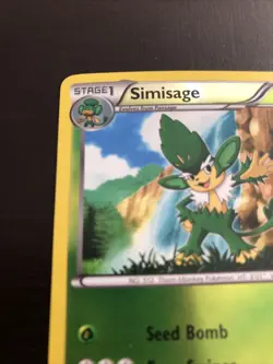 Pokemon TCG Simisage Black and White 8/114 Reverse Holo Uncommon LP - Image 2