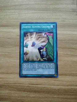 Yu-Gi-Oh! - Harpies' Hunting Ground - Super Rare / Holo - LCJW-EN102 - Image 1