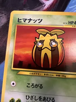 Sunkern No.191 Neo Destiny Japanese Old Back Vintage Pocket Monster Pokemon TCG - Image 3