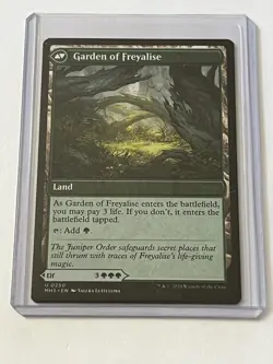 Disciple / Garden of Freyalise 250 MTG Modern Horizons 3 2024 MT 9.0 + Non Foil - Image 2