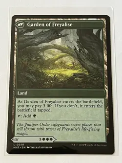 Disciple / Garden of Freyalise 250 MTG Modern Horizons 3 2024 MT 9.0 + Non Foil - Image 4