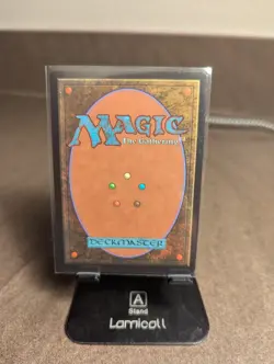 MTG Vorinclex, Monstrous Raider #407 (Borderless) Foil MINT/NM - Image 4