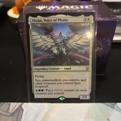 MTG x1 Shalai, Voice of Plenty Foil NM - Image 1