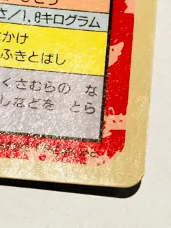 Pidgey Top sun Pokemon Card 016 1995 Blue Back Vrey RareJapan Nintendo F/S - Image 5