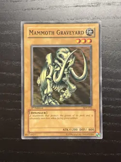 Mammoth Graveyard- Yu-Gi-Oh SDY-010 1st Edition - LP - Image 1